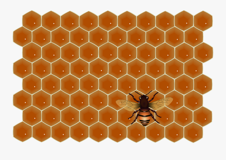 Honey, Bee, Flying, Work, Insect, Sweet, Job, Honeycomb - Glossy Black Penny Tile, Transparent Clipart