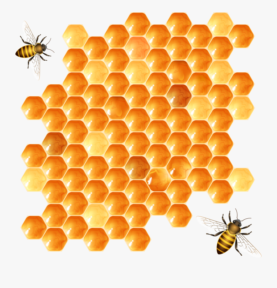 Honeycomb Png , Free Transparent Clipart - ClipartKey