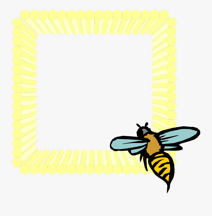 Transparent Honeycomb Clipart Black And White - Frame Honey Bee Png, Transparent Clipart
