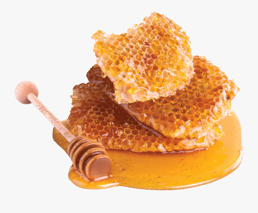 Honeycomb Honey Bee - Honey Png , Free Transparent Clipart - ClipartKey