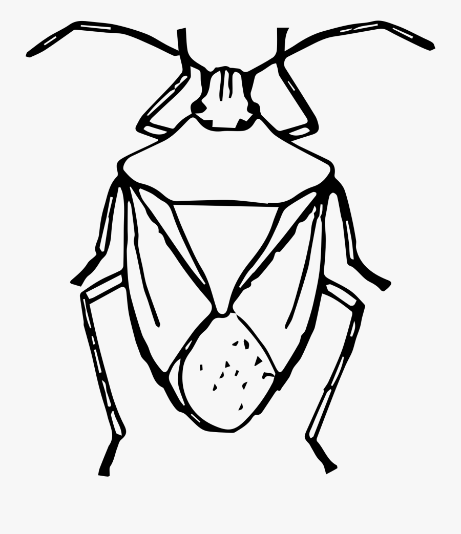 Drawing At Getdrawings Com - Draw A Stink Bug, Transparent Clipart