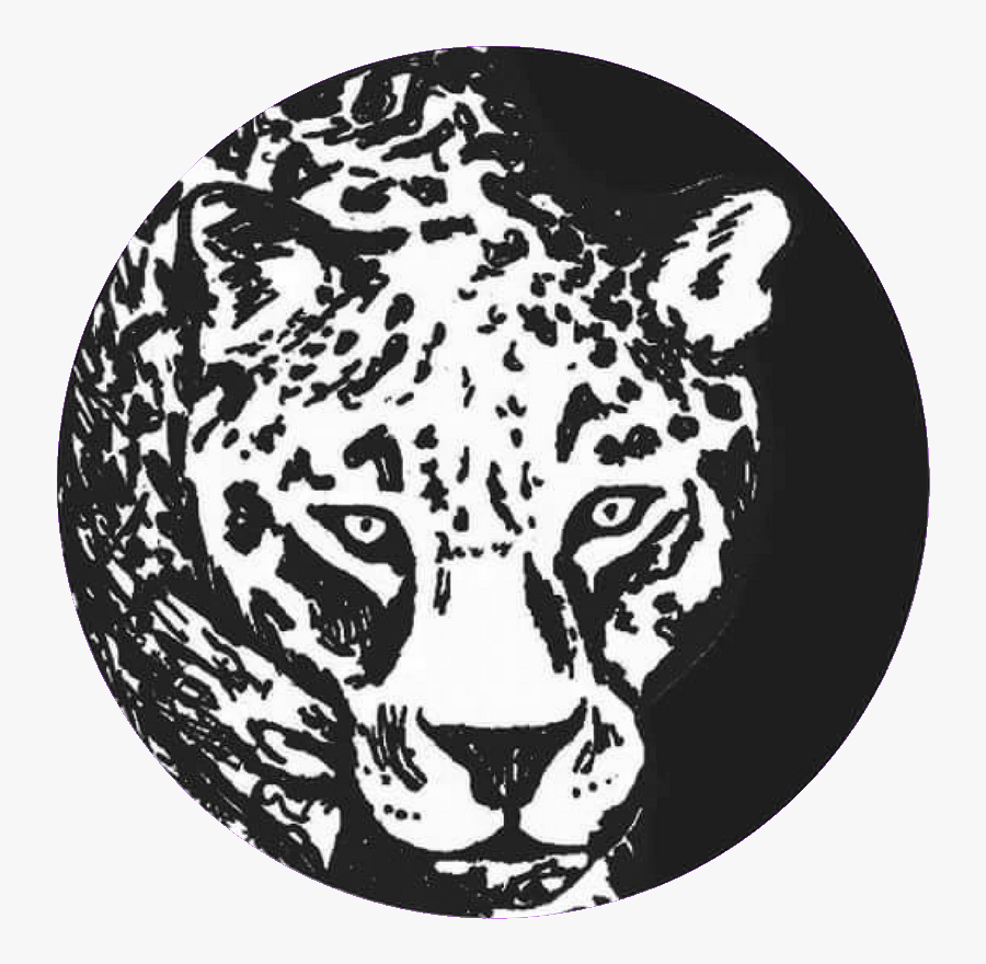 Jaguar Path Florida - Jaguar, Transparent Clipart