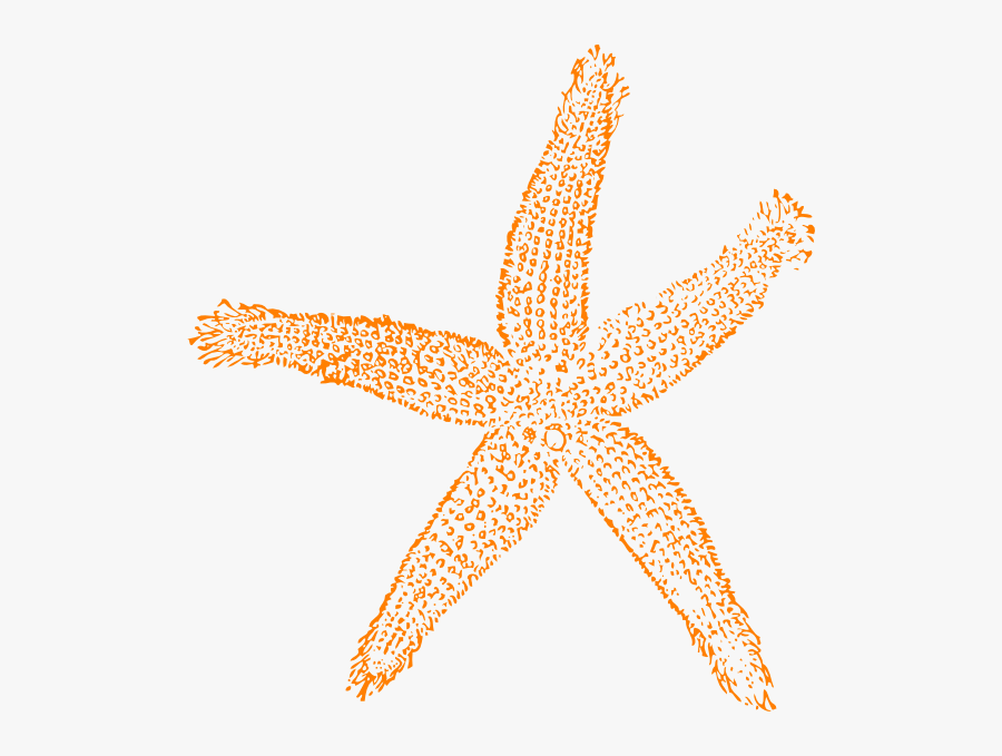 Coral Starfish Clipart, Transparent Clipart