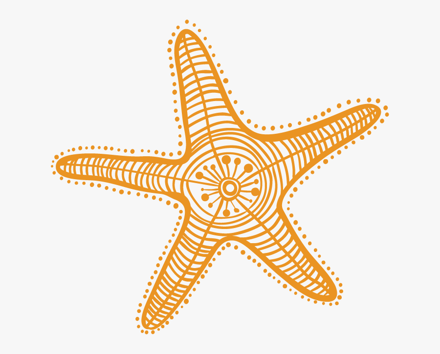 Starfish Drawing Cartoon Clip Art - Starfish Clipart Starfish Draw, Transparent Clipart