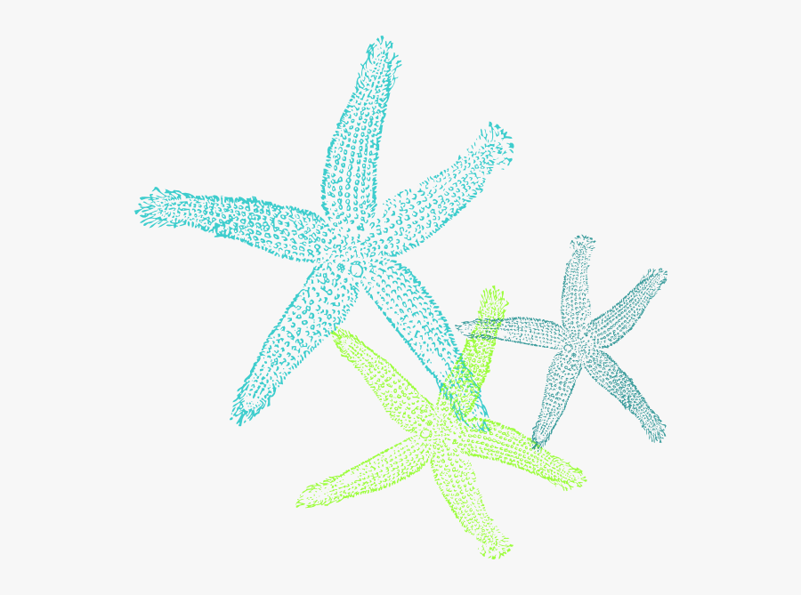 Turquoise Green Starfish Svg Clip Arts - Coral Starfish Clipart, Transparent Clipart