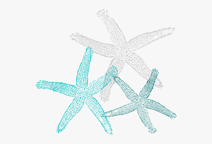 Starfish Clipart Teal, Transparent Clipart