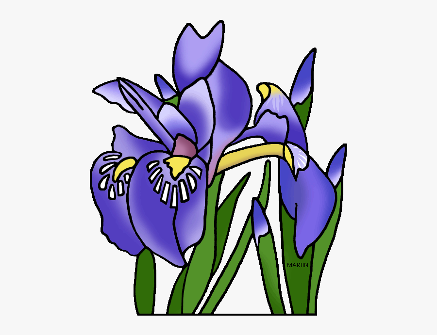 Michigan State Wild Flower Dwarf Lake Iris - Tennessee State Flower Clipart, Transparent Clipart