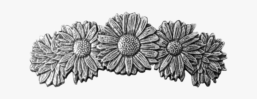 Hair Clip - Barberton Daisy, Transparent Clipart