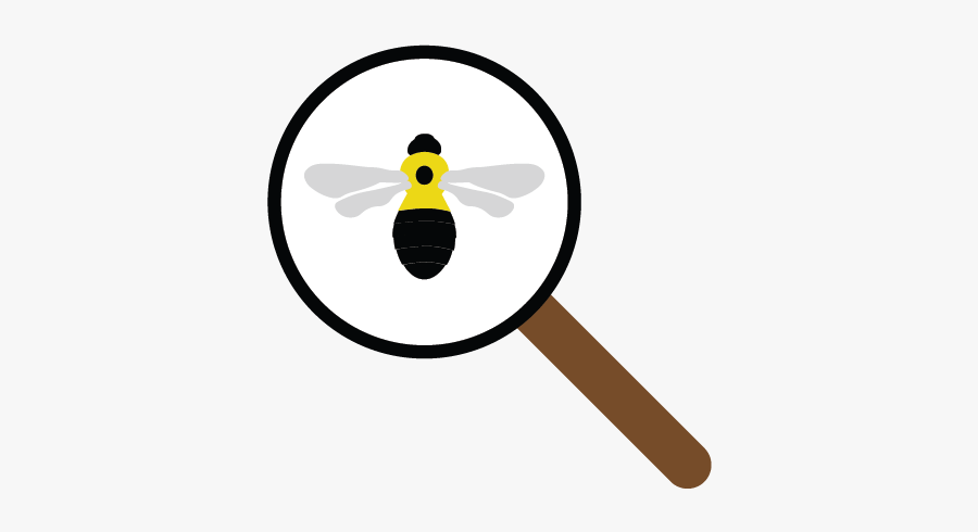 Icon Of Bumble Bee Under Magnifying Glass, Transparent Clipart