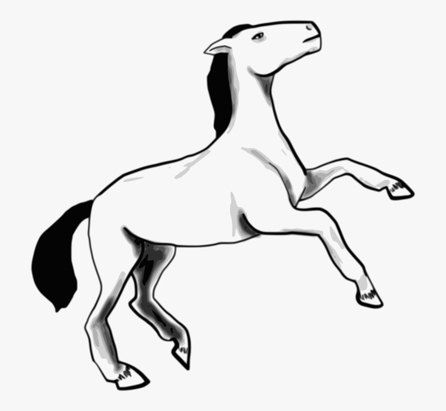 Transparent Foal Clipart - حصان كليب ارت ابيض واسود, Transparent Clipart