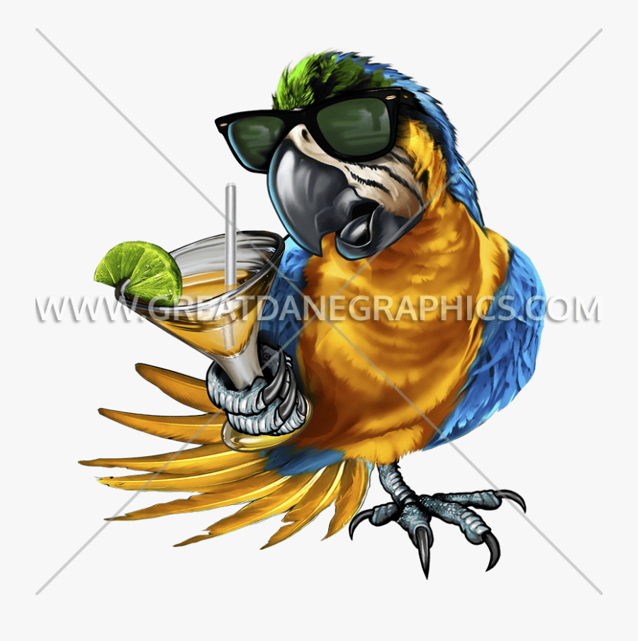 Time Production Ready Artwork - It's 5 O Clock Somewhere Parrot, Transparent Clipart