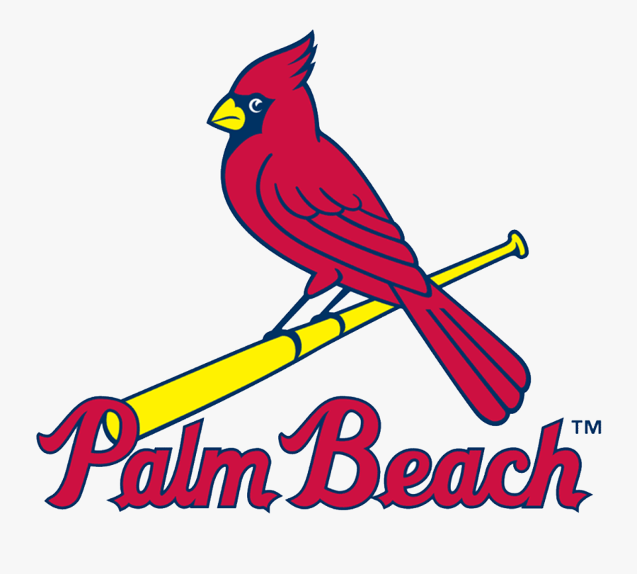 Palm Beach Cardinals, Transparent Clipart