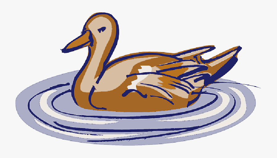 Water, Brown, Pink, Bird, Duck, Style, Swimming, Wings - Duck Clipart Png, Transparent Clipart