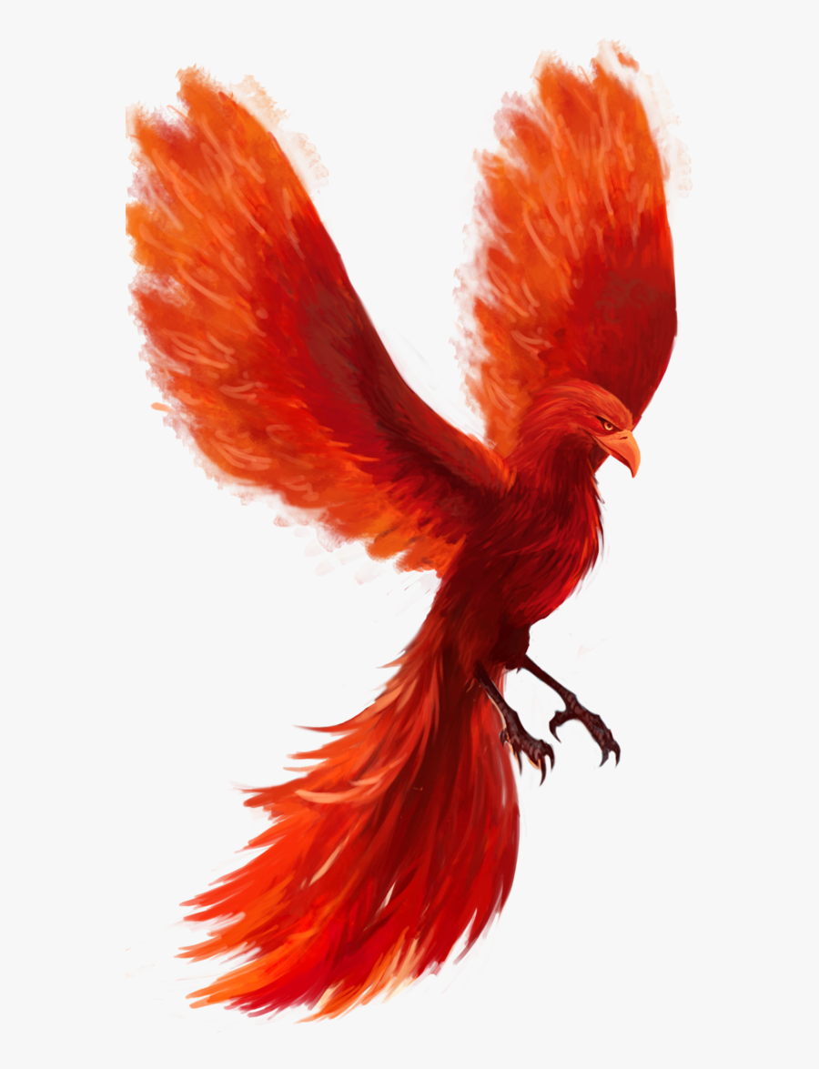 Phoenix Png Hd Png File - Transparent Phoenix Bird Png, Transparent Clipart