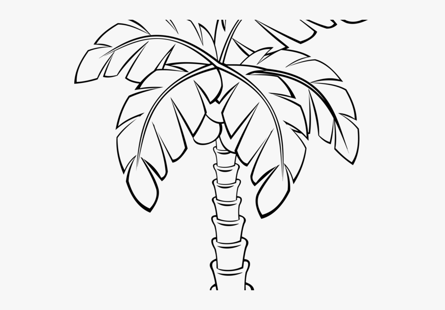 Cartoon Drawing Palm Tree, Transparent Clipart