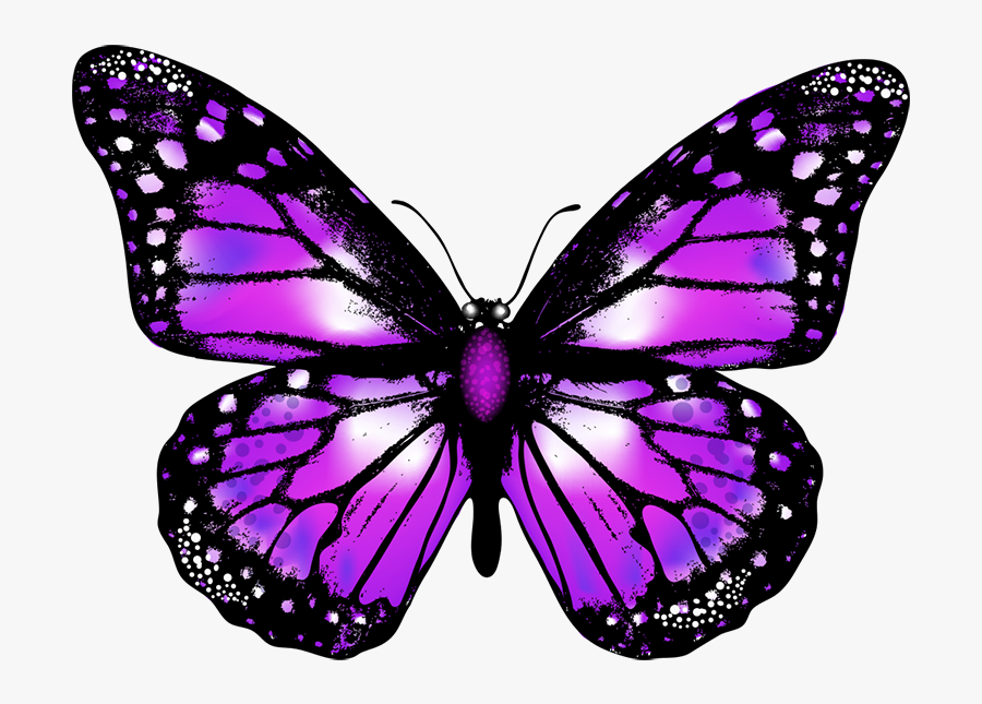 Butterfly Png Vector Image Transparent Background Purple - Purple Butterfly Transparent Background, Transparent Clipart