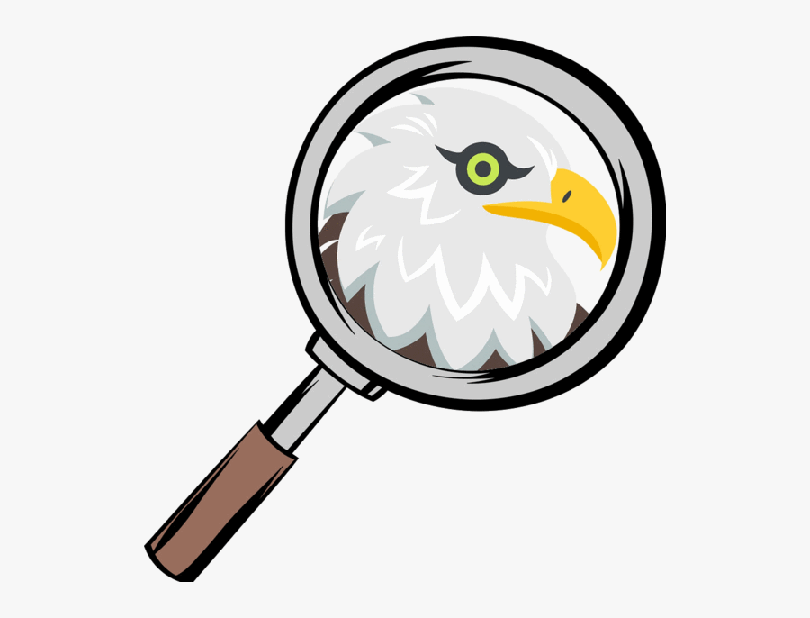 Magnifying Glass Cartoon Drawing, Transparent Clipart