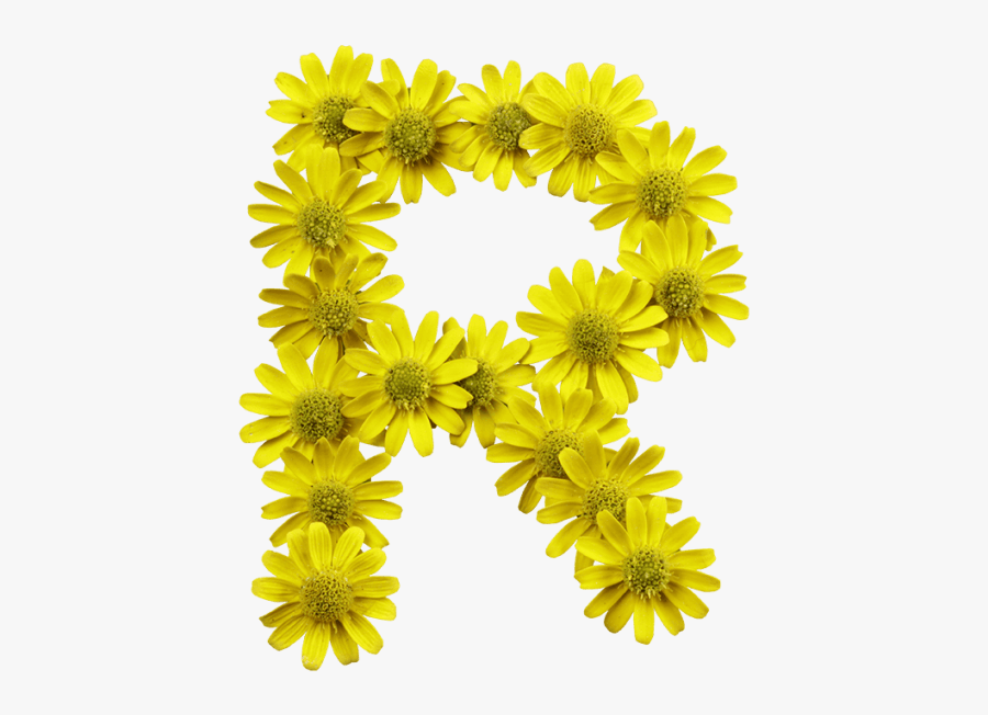 Yellow Flowers Font - Flower Letters Png, Transparent Clipart