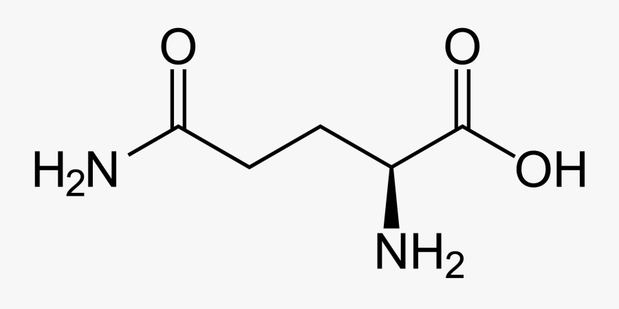 Amino Strand - Amino Acid Glutamine, Transparent Clipart