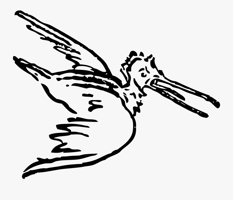 Bird Flight Pelican Clip Art - Large Cartoon Flying Birds, Transparent Clipart