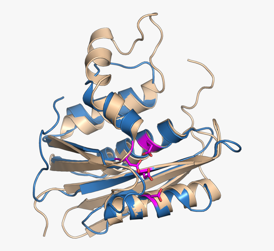 3k2p Hiv Rnaseh 2rn2 Ecoli, Transparent Clipart