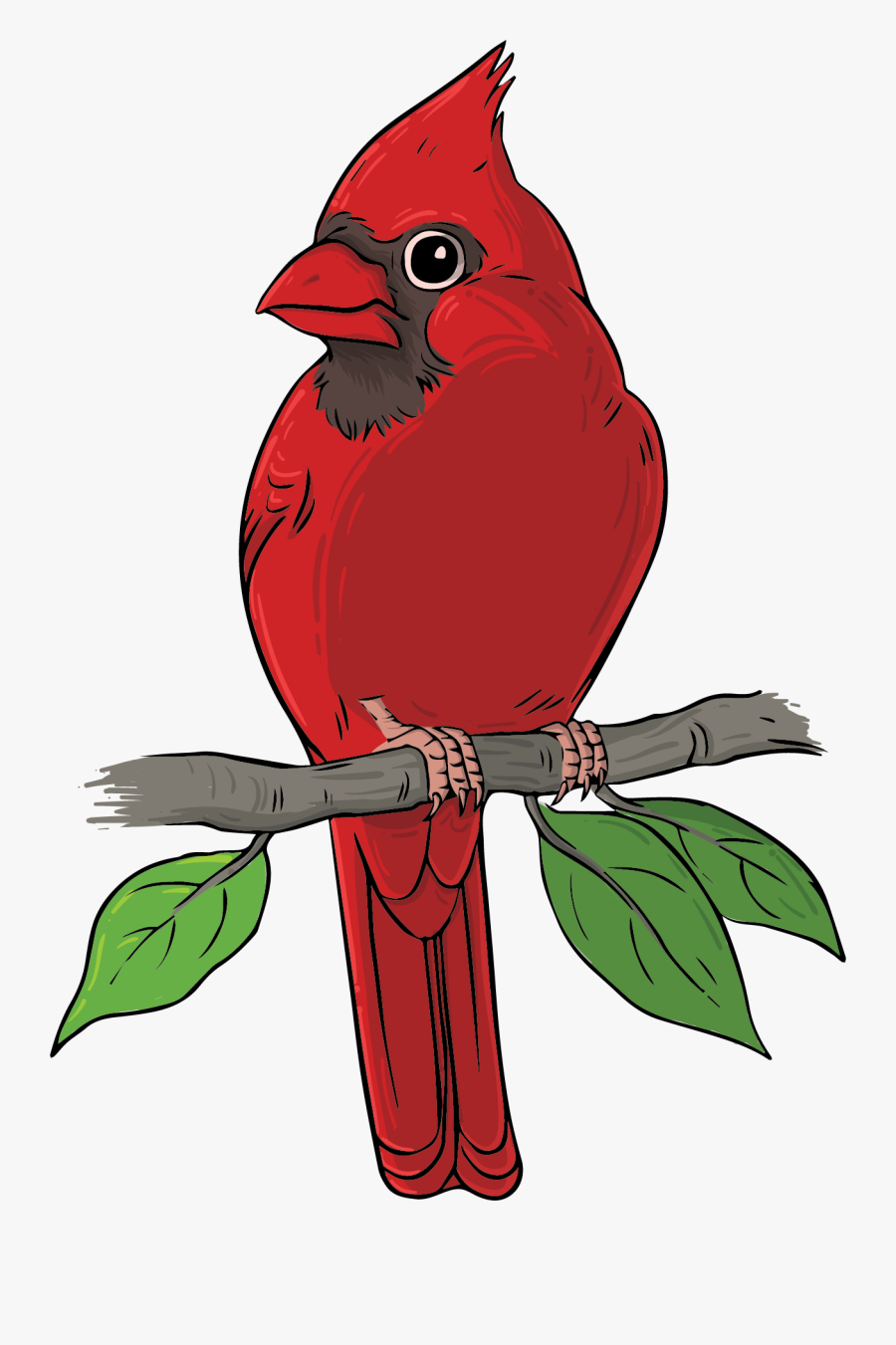 Red Bird Cartoon, Transparent Clipart