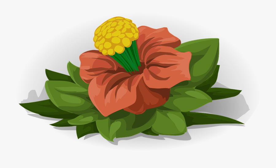 Flower, Plant, Green, Red, Yellow, Nature, Spring - Common Zinnia, Transparent Clipart
