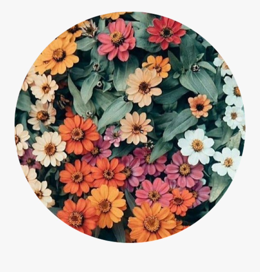 Clip Art Flowers Aesthetic Tumblr - We Heart It Orange Flowers, Transparent Clipart
