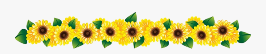#ftestickers #flowers #row #sunflowers - Row Of Flowers Png, Transparent Clipart