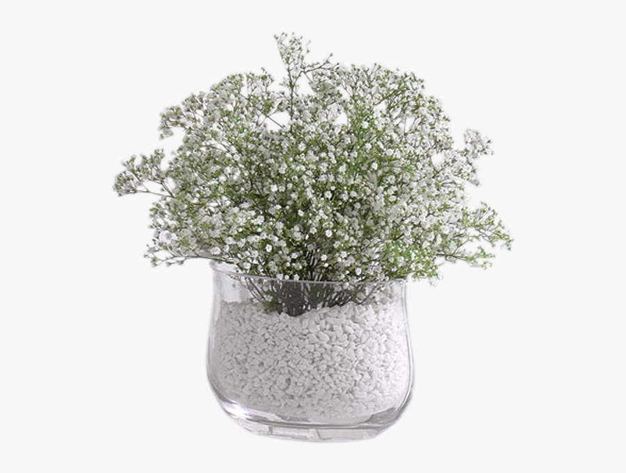 Baby"s Breath Vase Arrangement - Table Decorations For Winter Wedding Reception, Transparent Clipart