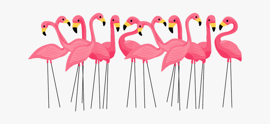 Flamingo Party Invitation, Transparent Clipart