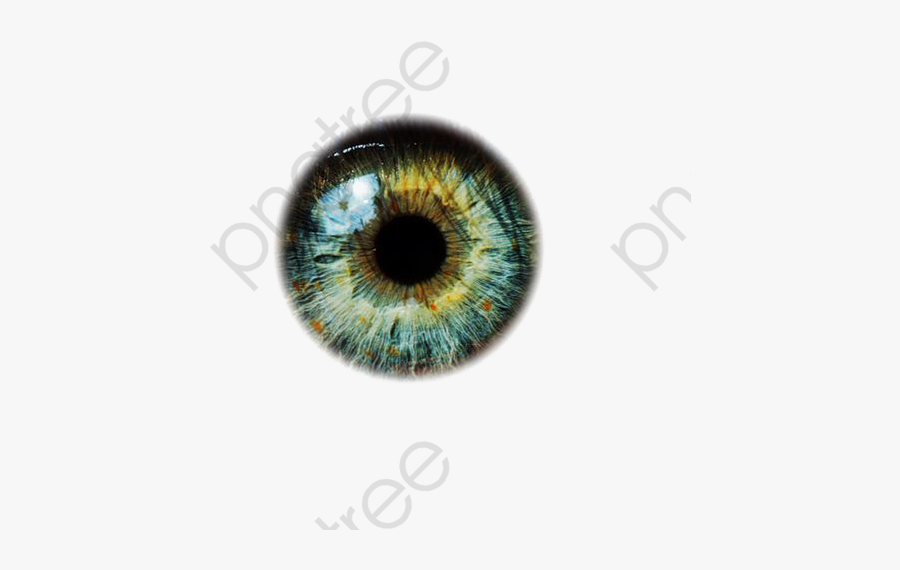 Eyes Lens Png Effect, Transparent Clipart