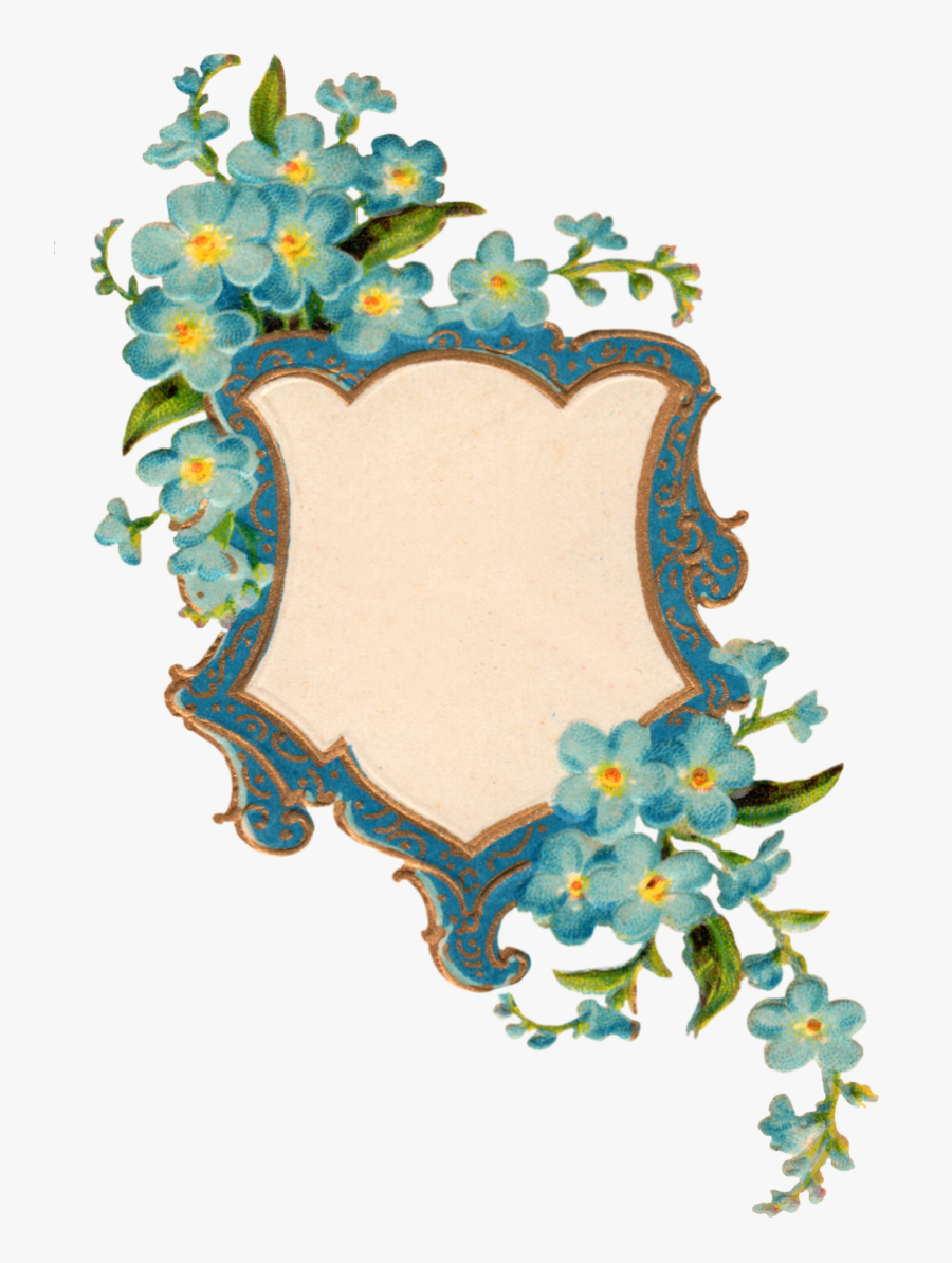 Forget Me Not Png Picture Clipart , Png Download - Forget Me Not Frame, Transparent Clipart