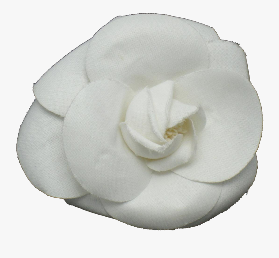 Gardenia Flowers Png Free Images - Camellia Flower Chanel Transparent, Transparent Clipart