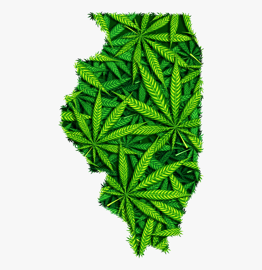 Map Of Illinois Marijuana Leaves - Vestido De Noiva De Maconha, Transparent Clipart
