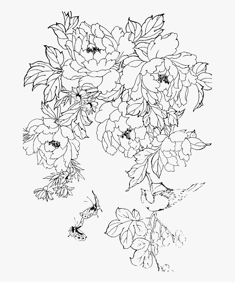 Clip Art Collection Of Free Traditional - Chinese Peony Line Drawing ...