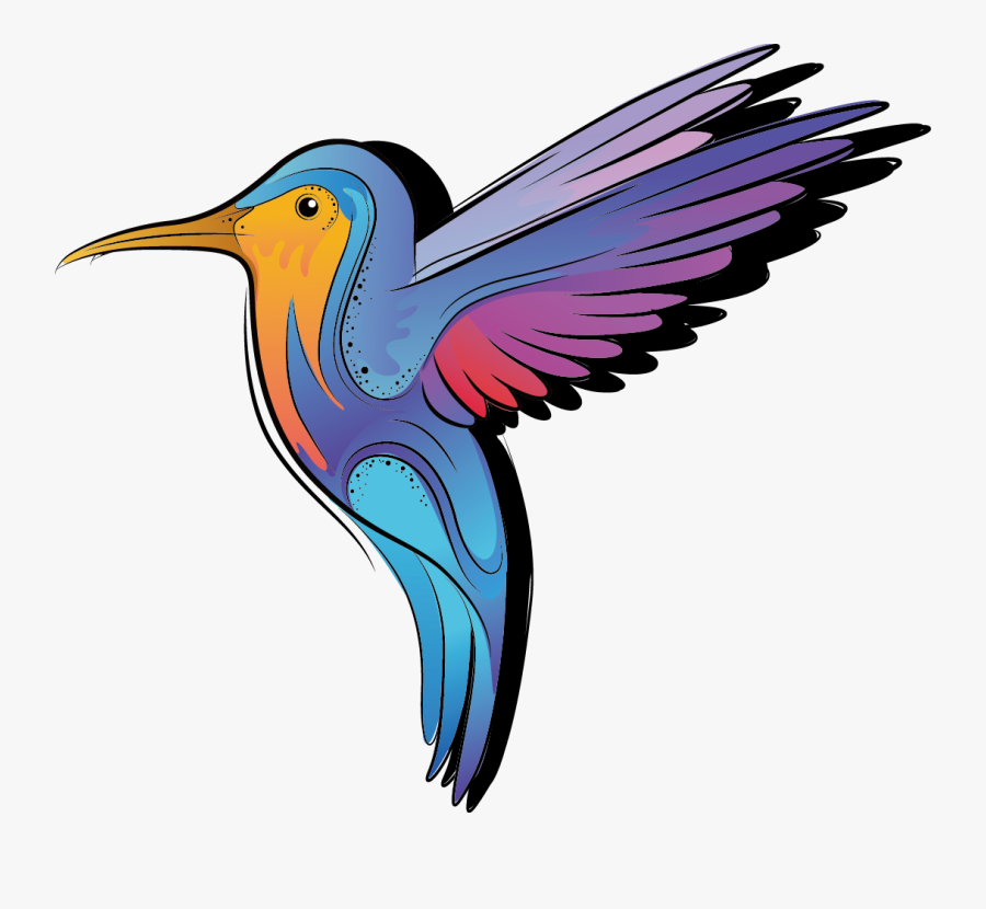 Drawing Colored Hummingbird - Bird Black And White To Color, Transparent Clipart