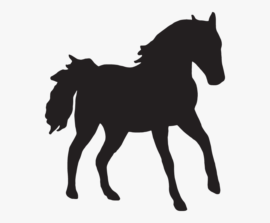 Arabian Horse Stallion Mare Clydesdale Horse Scalable - Horse Png Black And White, Transparent Clipart