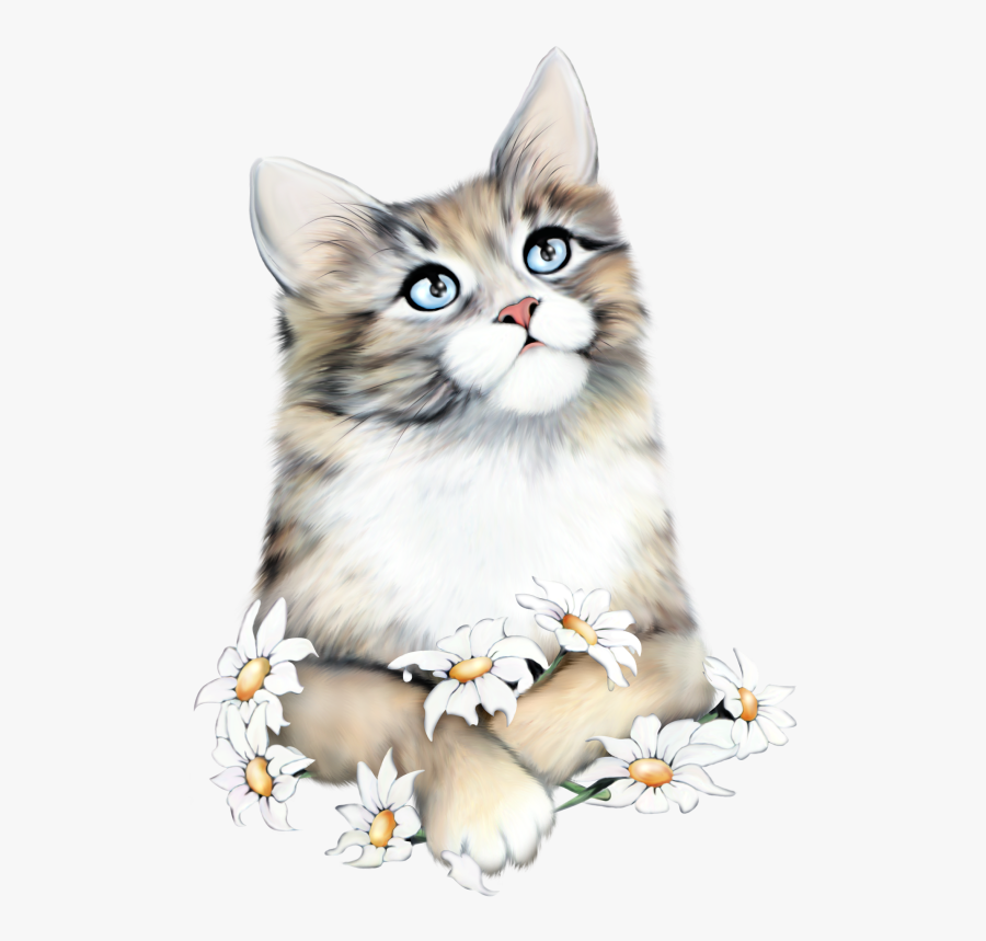 Tubes Kitten, Transparent Clipart