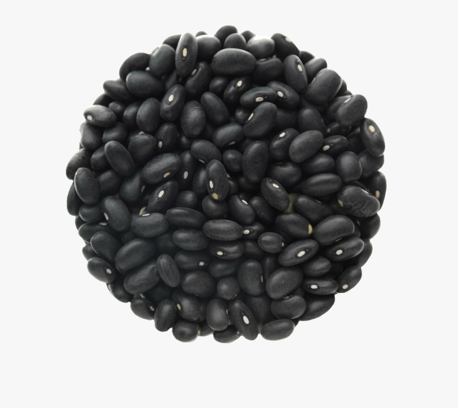 Black Beans Transparent Background, Transparent Clipart