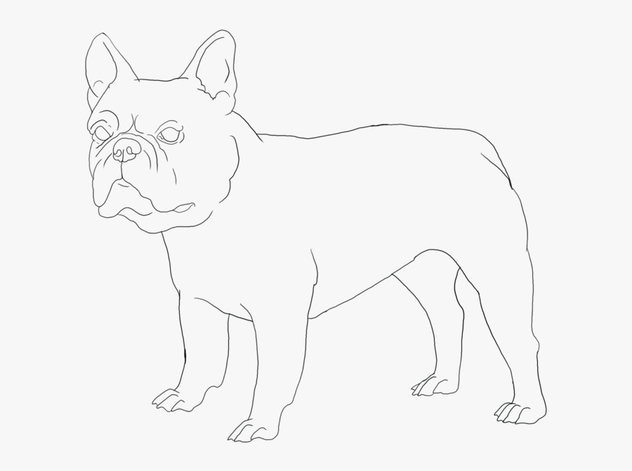 Drawing Bulldogs Simple - Bull And Terrier, Transparent Clipart