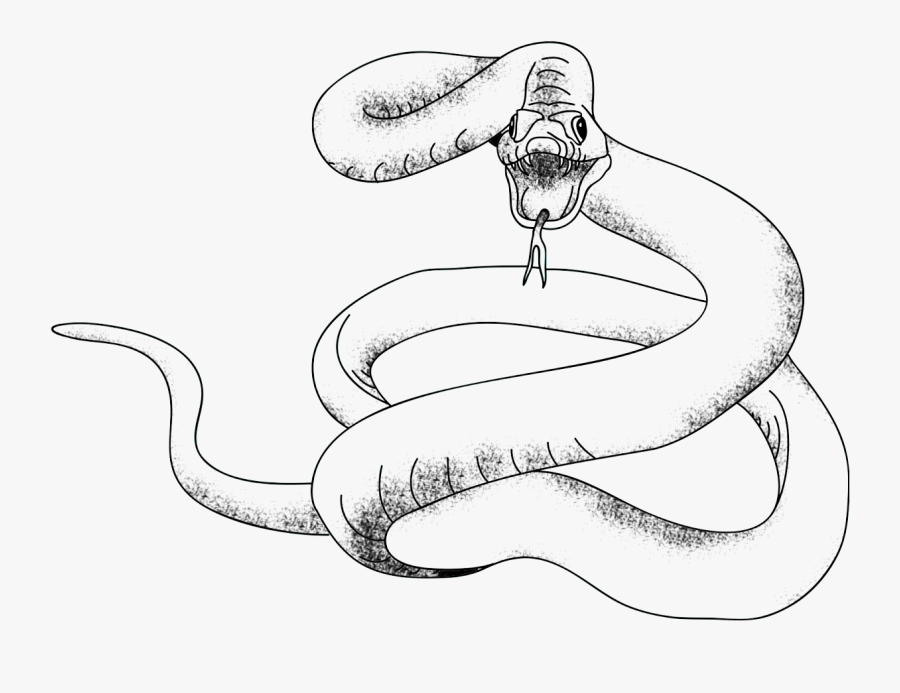Clip Art Invertebrate Animal Huge - Png Snake, Transparent Clipart