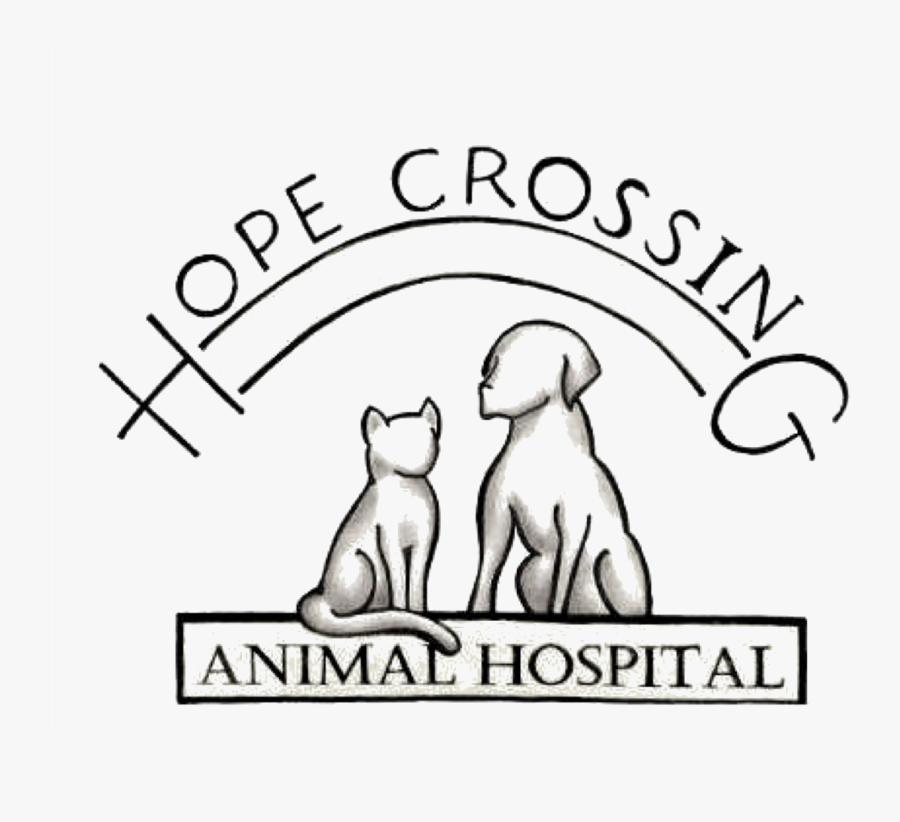 Vet Drawing Veterinary Clinic - Drawing Of Animal Hospital, Transparent Clipart