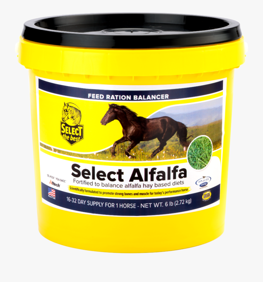 Transparent Alfalfa Png - Horse, Transparent Clipart
