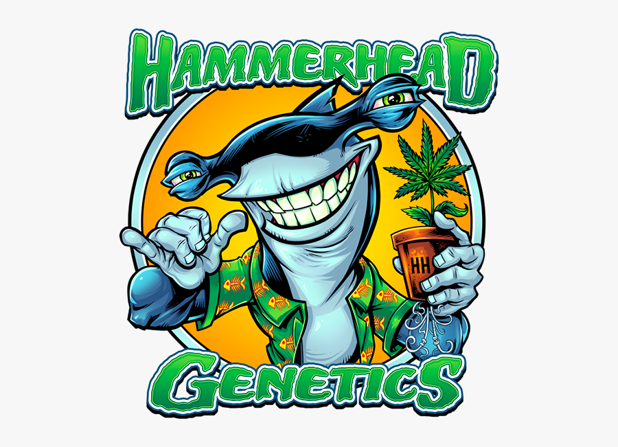 Hammerhead Genetics Logo - Hammerhead Seed, Transparent Clipart