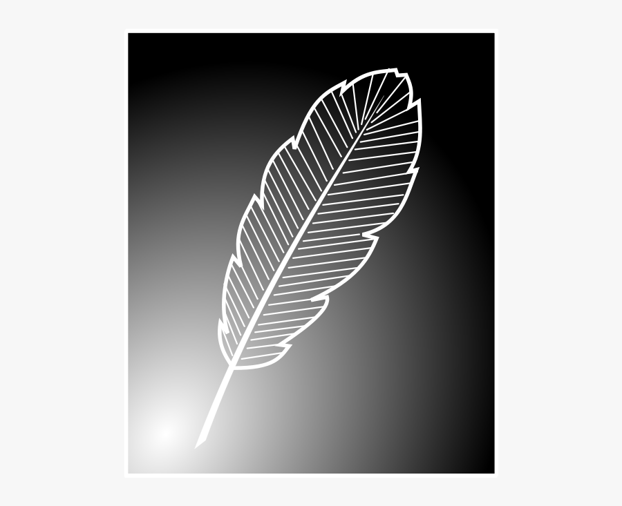 Feather - صورة ريشة, Transparent Clipart