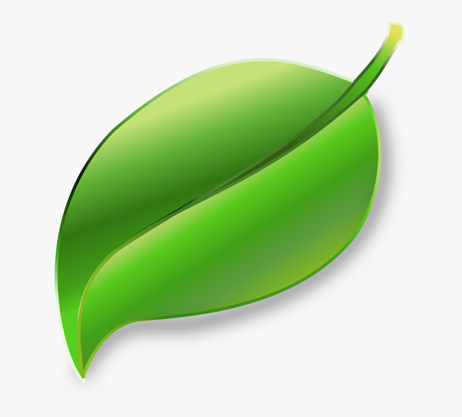 Plant,leaf,fruit - Daun Clipart, Transparent Clipart