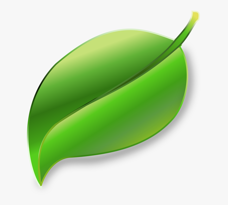 Plant leaf fruit Daun Clipart  Free Transparent Clipart  