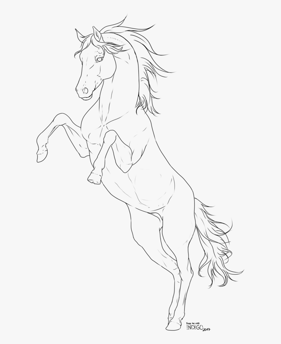 Vector Horses Watercolor - Line Art, Transparent Clipart