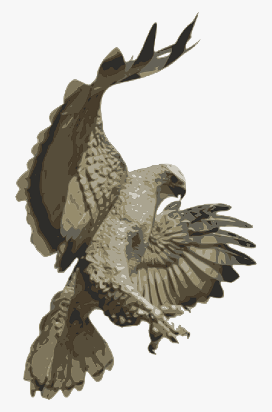 Falcon Flying Png, Transparent Clipart